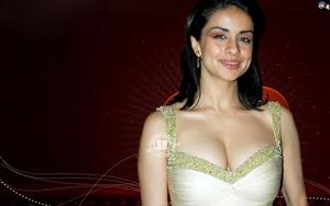 Gul Panag